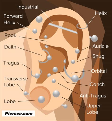 Ear Piercings Pain Chart