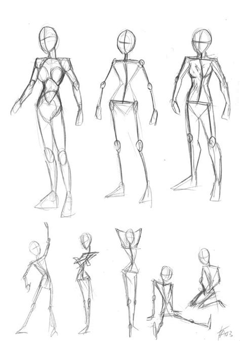 Female Body Anatomy by DerangedMeowMeow on deviantART | Anatomy ...