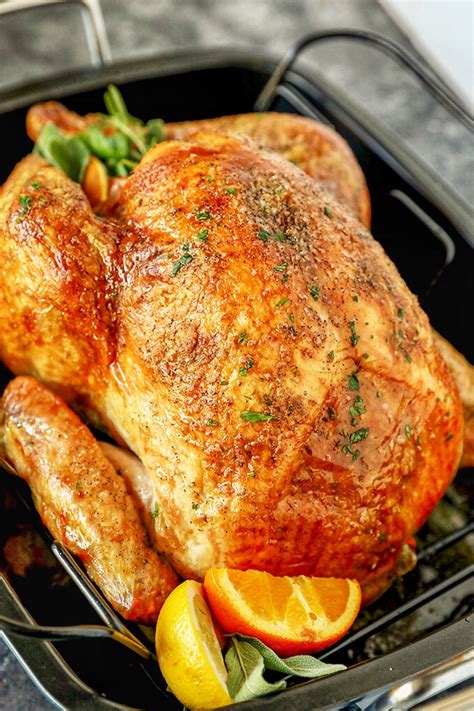 Easy Turkey Recipes For Beginners - effortlesscookbook.com