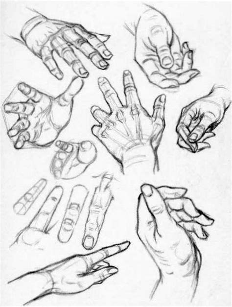 How to Draw Hands - Reference Sheets and Guides to Drawing Hands | Drawing reference, Sketches ...