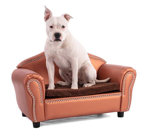 The 5 Best Leather Dog Beds For Your Cooler-Than-You Canine - Dogtime