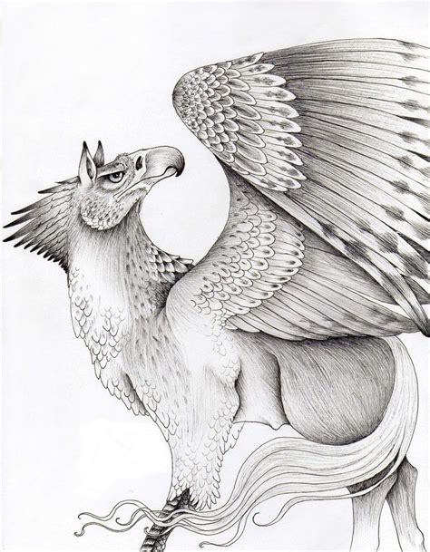 Hippogriff | Art, Mythical birds, Animal art