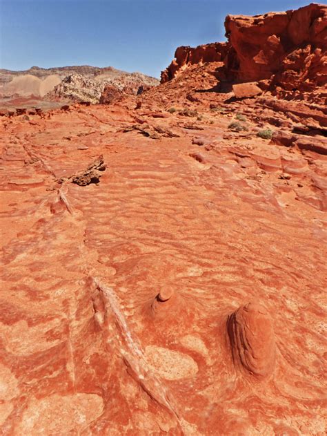 Gold Butte – Make Like An Ape Man