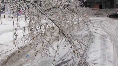 ICE STORM 2013 TORONTO ONTARIO - Striking Video! [December 22, 2013 ...