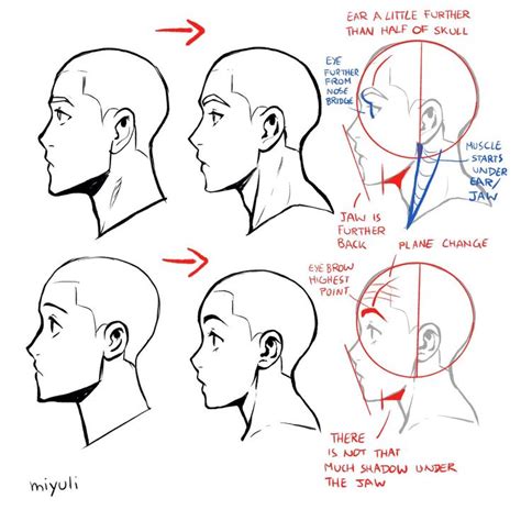 Miyuli on Twitter | Drawing tutorial, Drawing tutorial face, Face drawing