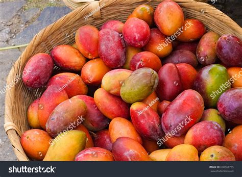 41 El salvador mango Images, Stock Photos & Vectors | Shutterstock