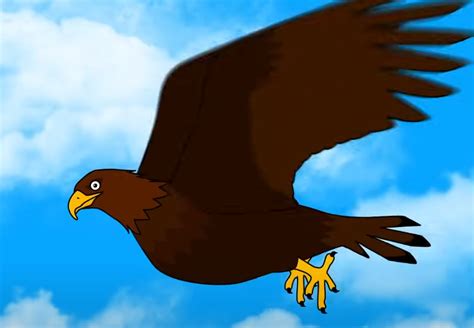 Golden eagle | CoCosToy Wiki | Fandom