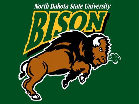 Free download ndsu bison football love hot wallpapers [1024x768] for ...