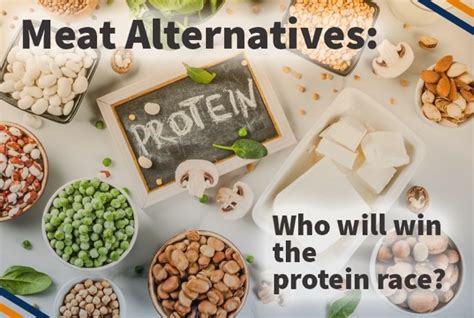 Meat Alternatives: Who Will Win the Protein Race? - Ingredient Exchange