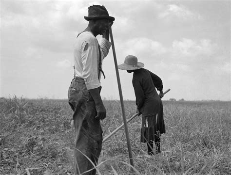 Cotton Pickers, 1937 Photograph by Granger - Fine Art America