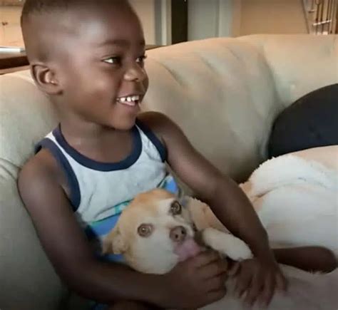 Little Boy is Scared of Dogs, but his Adoptive Family Has One