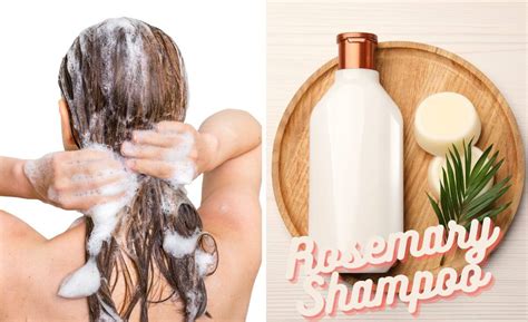 Uncovering the Best Rosemary Shampoos: Choosing the Top Option for Your ...