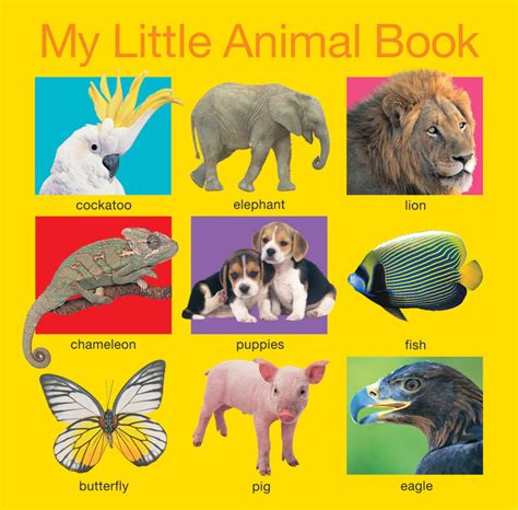 My Little Animal Book | Roger Priddy | Macmillan