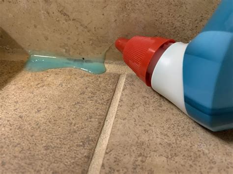 How to Remove Mold from Shower Caulk and Grout in One Easy Step | Three Bears Home Staging ...