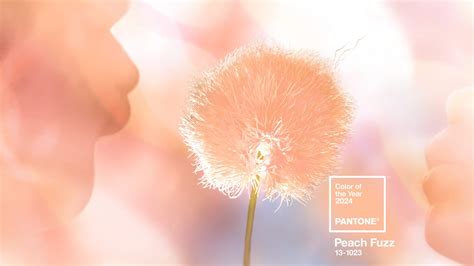 Pantone Color of the Year 2024: Peach Fuzz