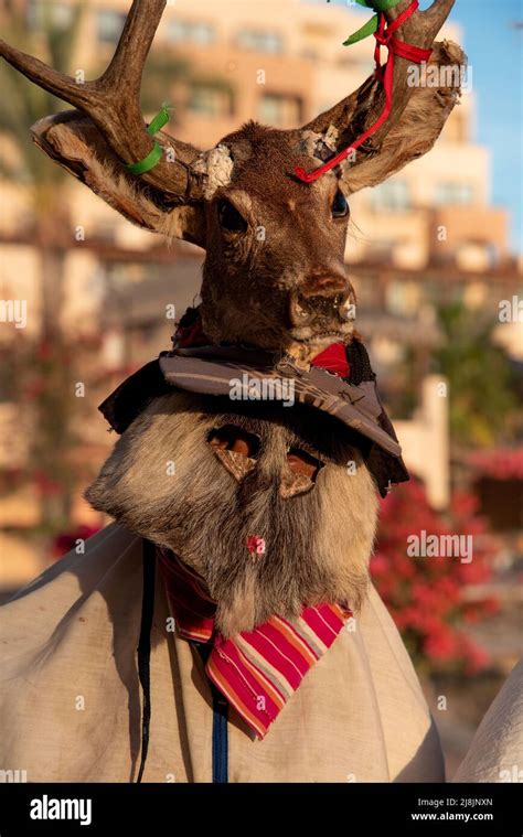 A fariseo, dressed for Lent in ceremonial costume, wears a traditional helmet mask topped with ...