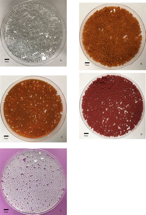 Photographs of different nanomaterial-alginate hybrid beads ...