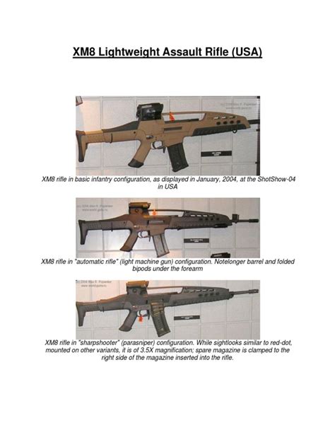 XM8 Lightweight Assault Rifle | Rifle | Firearms