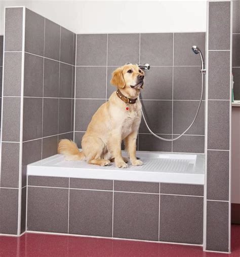 Dog Showers Are The Latest Home Trend, And They Are Absolutely Incredible