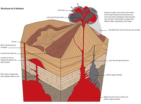 Structure of volcanoes - The Australian Museum