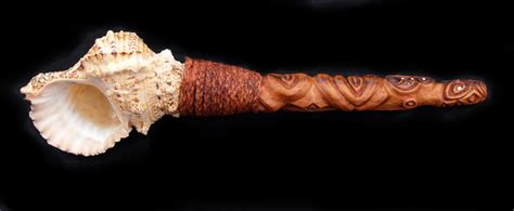 The pūtātara is a type of trumpet used by the Māori people of New ...