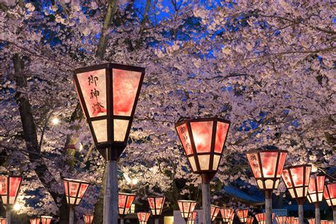 Sakura Rising: Spring in Japan - Travelogues from Remote Lands