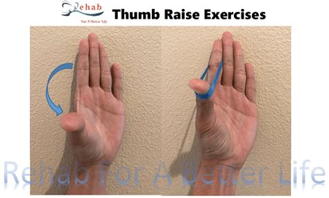 The Best Exercises for Your Painful Thumb Arthritis ! - REHAB FOR A BETTER LIFE