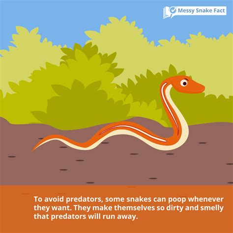 78 Striking Facts about Snakes | FactRetriever.com | Snake facts, Animal facts for kids, Animal ...