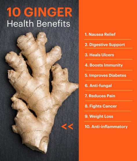 The Many Benefits of Ginger... – Me First Living