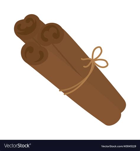 Cinnamon sticks design Royalty Free Vector Image