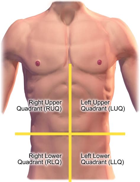 Abdominal Examination | Concise Medical Knowledge