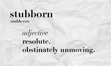 The Importance of Being Stubborn