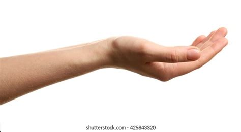 Open Palm Hand Gesture On White Stock Photo 425843320 | Shutterstock