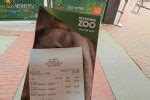 All You Need to Know About Melbourne Zoo | The Simple Travel 2024
