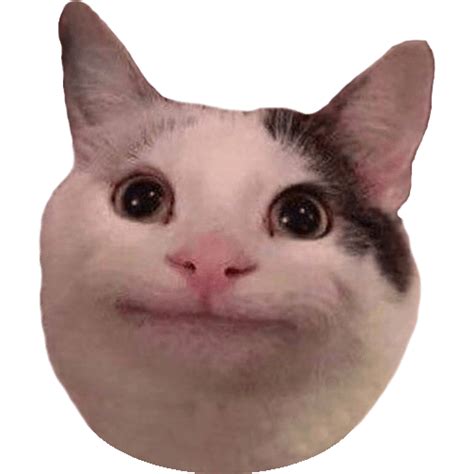 I don't know where to post this, but I made a cutout of that "Polite Cat" meme. : r/memes