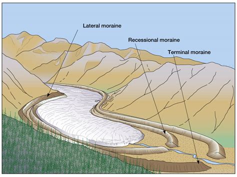 Lateral Moraine Diagram