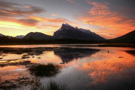 Vermilion Lakes Sunrise Photograph by Marko Stavric Photography - Fine ...