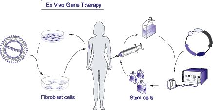 Types - Human Gene Therapy