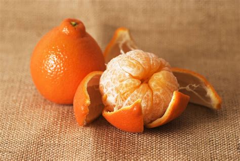 Minneola Tangelo Nutrition Facts | Besto Blog