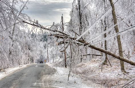 Ice Storm Pictures, Images and Stock Photos - iStock