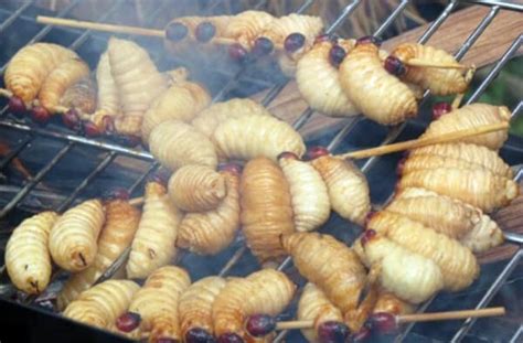 Challenge Yourself with Coconut Worms - Mekong Delta’s Signature Dish ...