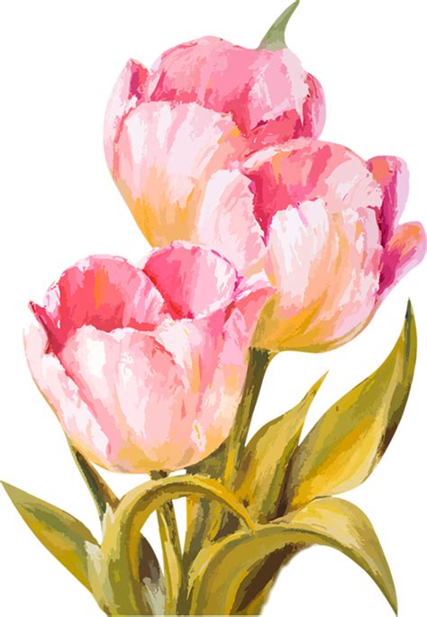 Tulips Art, Watercolor Flowers Paintings, Watercolor Cards, Floral Watercolor, Floral Art ...