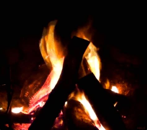 Camp Fire GIFs - Find & Share on GIPHY