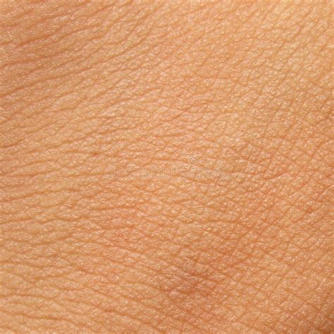 Human skin texture stock photo. Image of micro, hand - 59256368