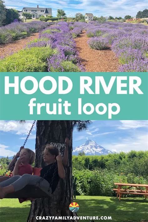 10 Amazing Stops On The Hood River Fruit Loop [Map Included] | Oregon ...