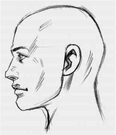 a drawing of a man's head with the side view of his face in perspective