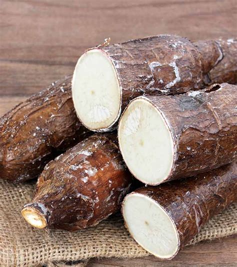 50 Unbelievable Benefits of Cassava You Must Know - 2024