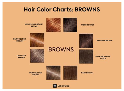 light ash brown hair color chart ash brown hair color ash hair - medium ash brown hair color ...