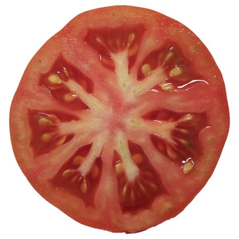 Download HD Tomato Slice PNG Free Transparent Image