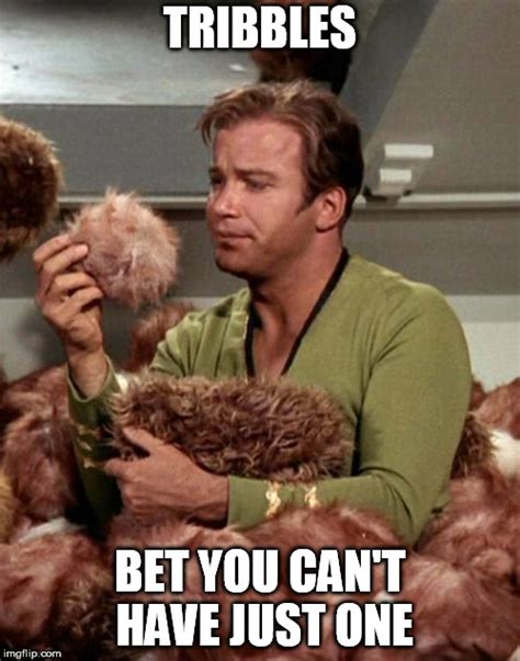 Kirk and Tribbles - Imgflip